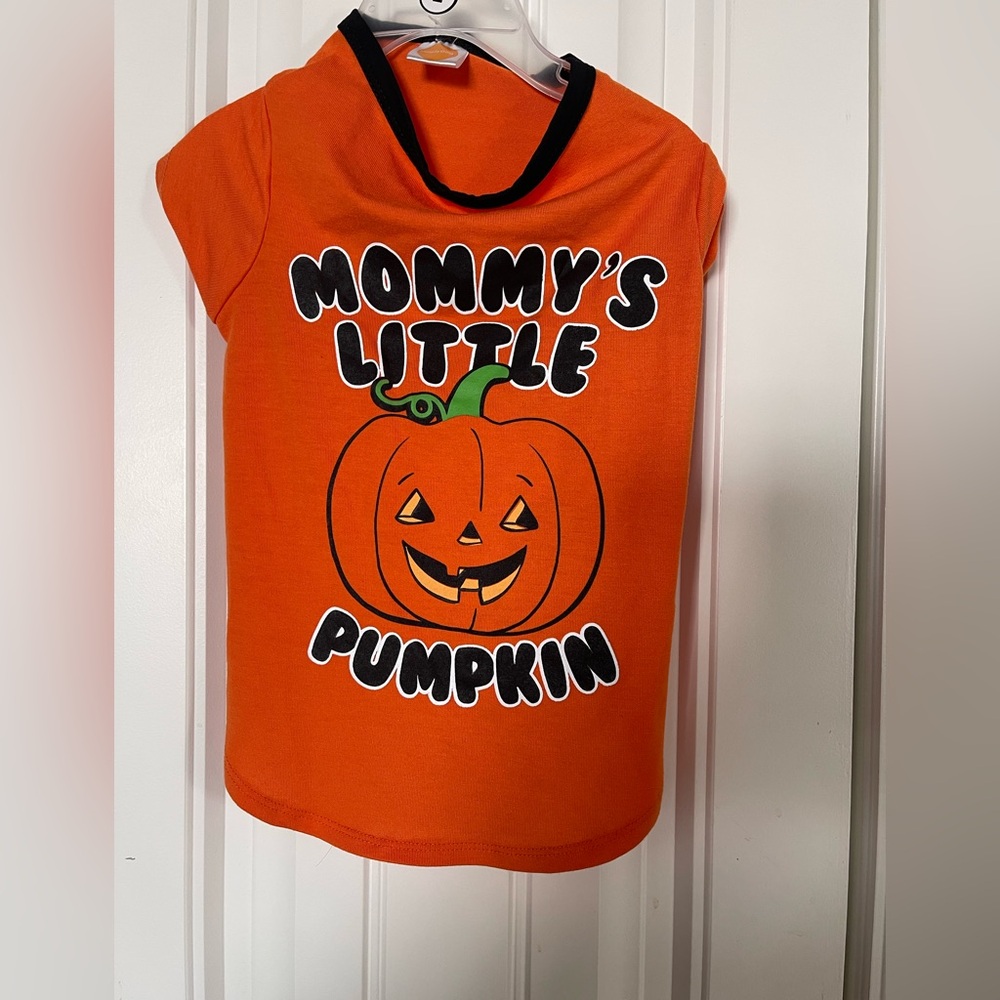 Orange Pumpkin Dog Costume